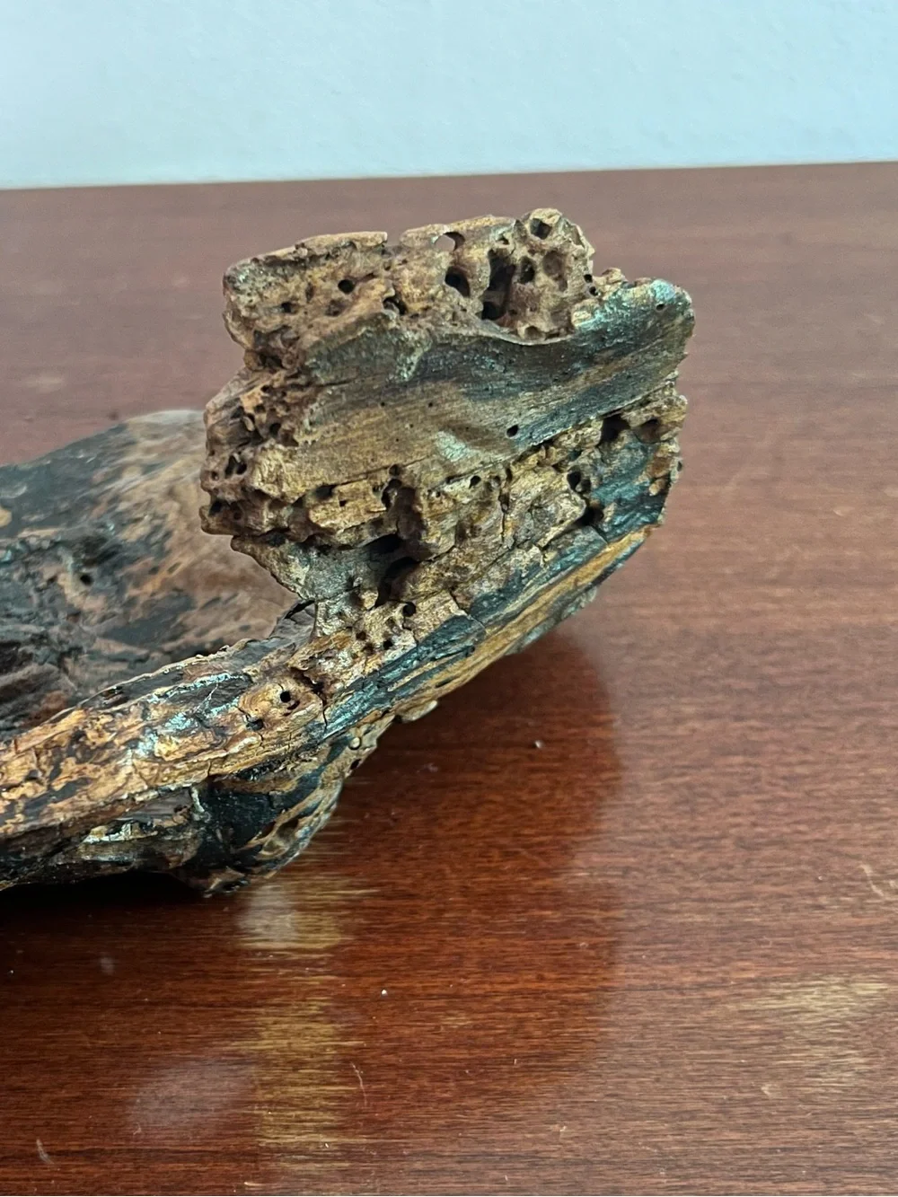 Natural Driftwood Hide for Reptile & Invertebrate Terrariums